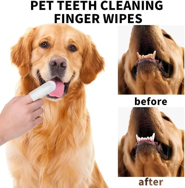 Disposable Dental Finger Wipes For Pets - ShoppingDragons